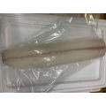 Frozen Oilfish Butterfish Fillet Lepidocybium Flavbruneum